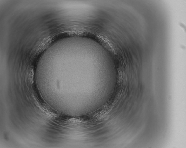 X0000096480498200802141725