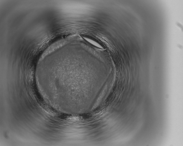 X0000096480499200802141725