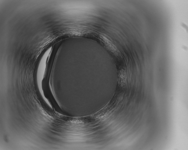 X0000096480500200802141725