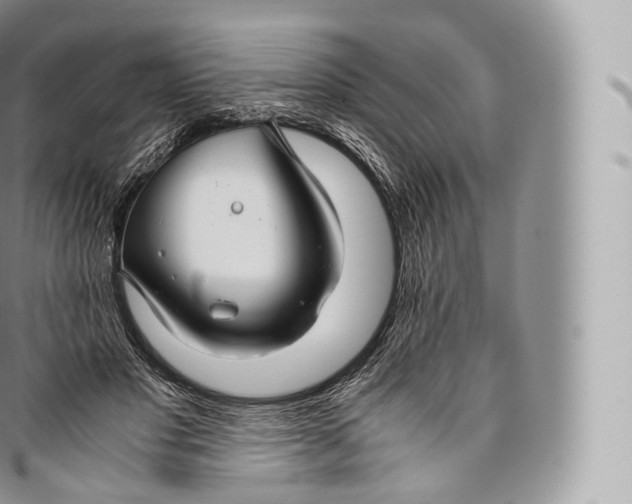 X0000096480501200802141725