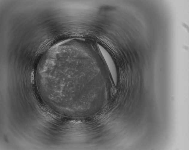 X0000096480502200802141725