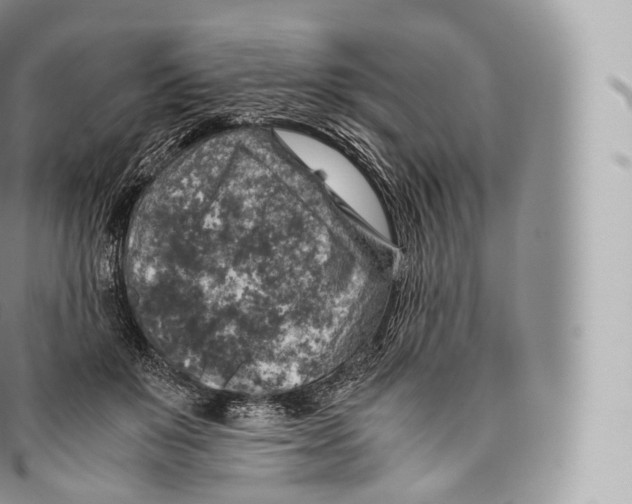 X0000096480503200802141725