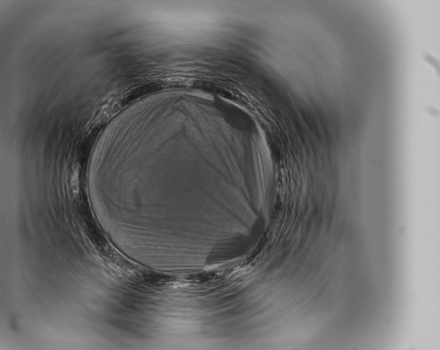 X0000096480504200802141725