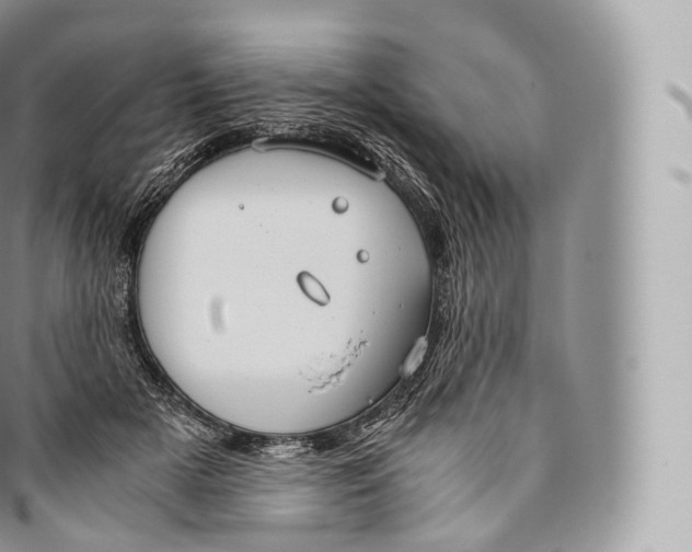 X0000096480505200802141725