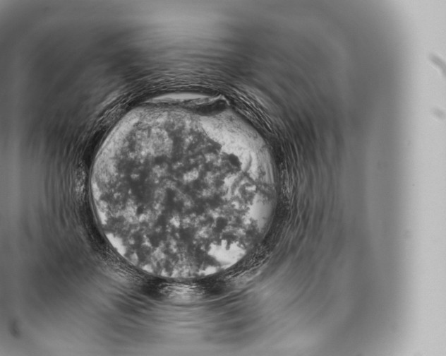 X0000096480507200802141725