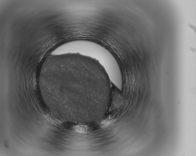 X0000096480508200802141725