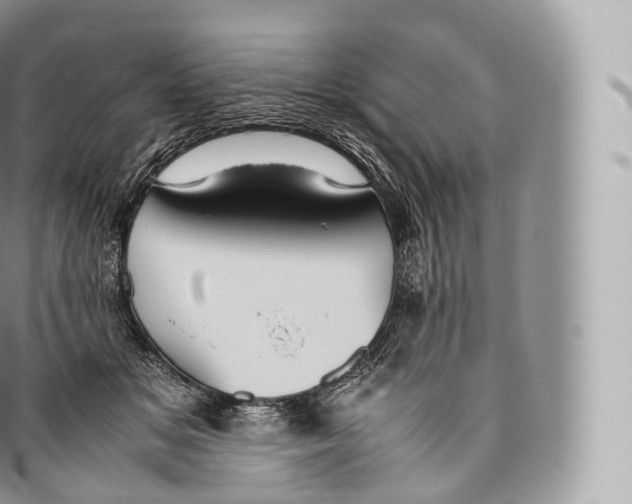 X0000096480509200802141725