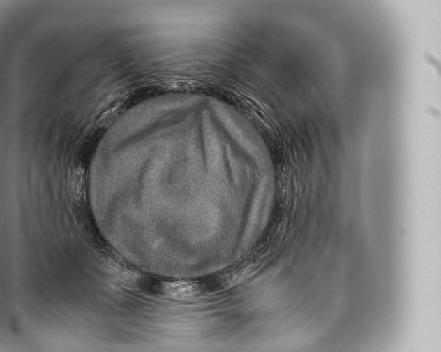 X0000096480511200802141725