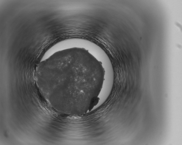 X0000096480512200802141725