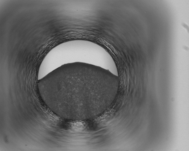 X0000096480513200802141725