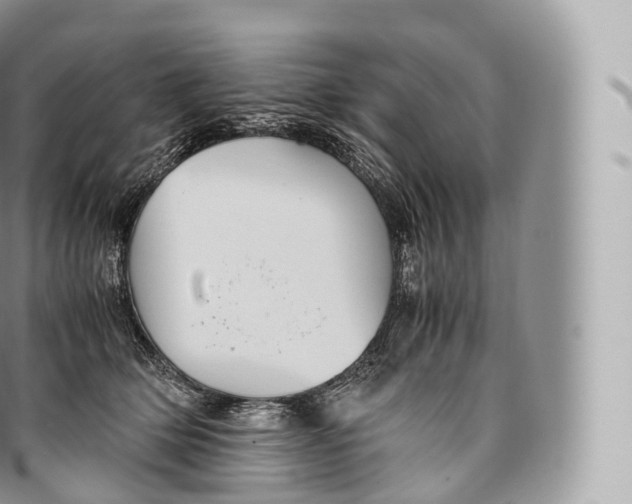 X0000096480514200802141725