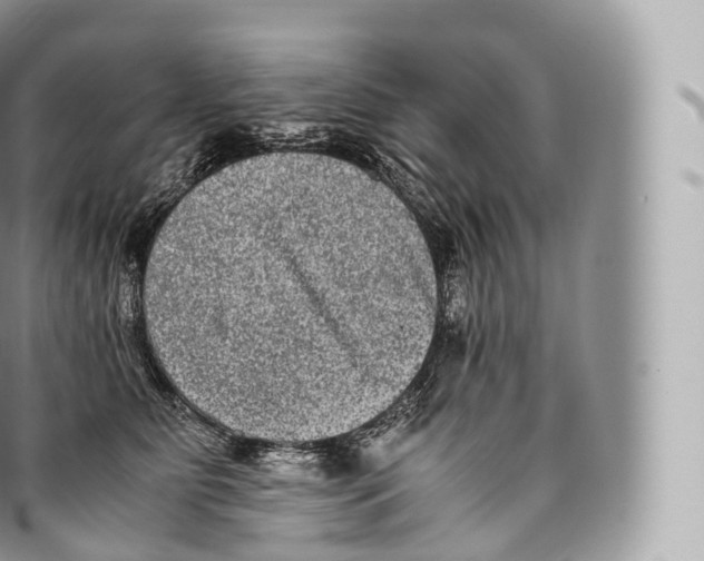 X0000096480515200802141725