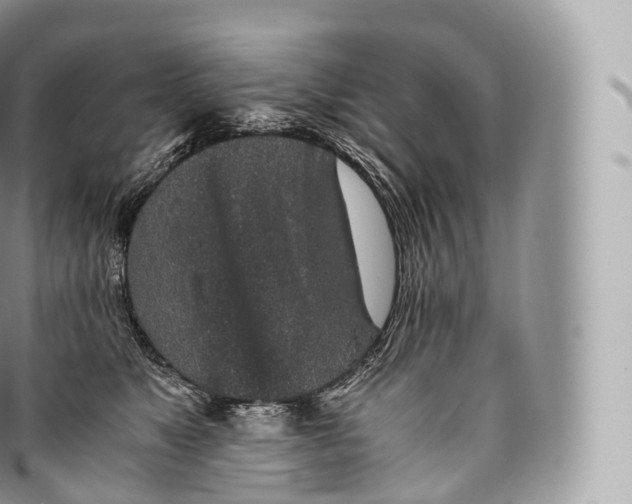 X0000096480517200802141725