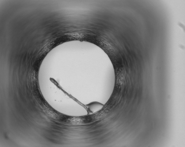 X0000096480518200802141725