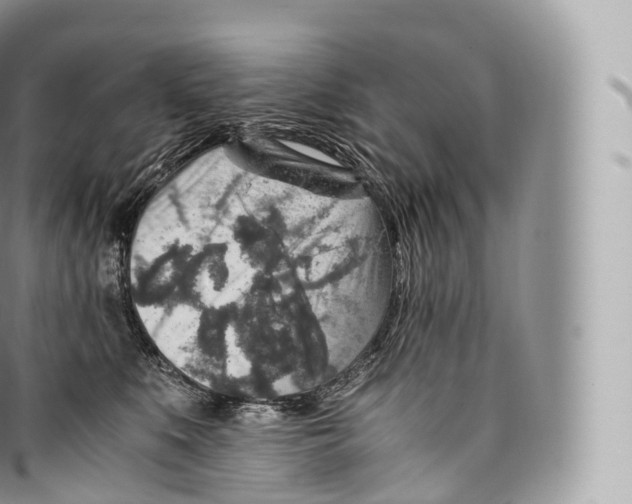 X0000096480519200802141725