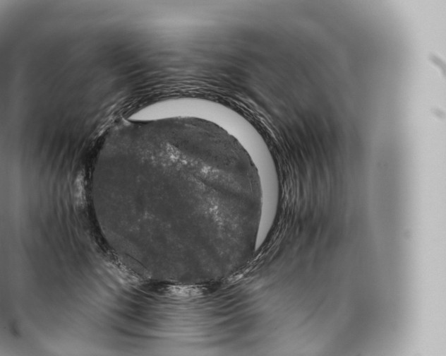 X0000096480520200802141725