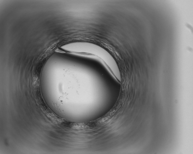 X0000096480521200802141725