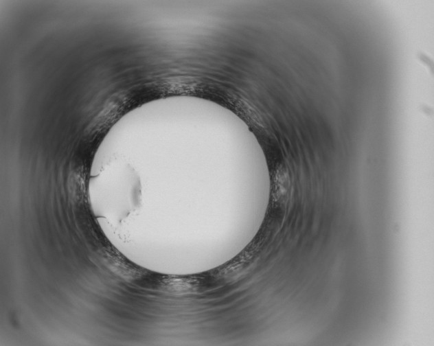 X0000096480522200802141725