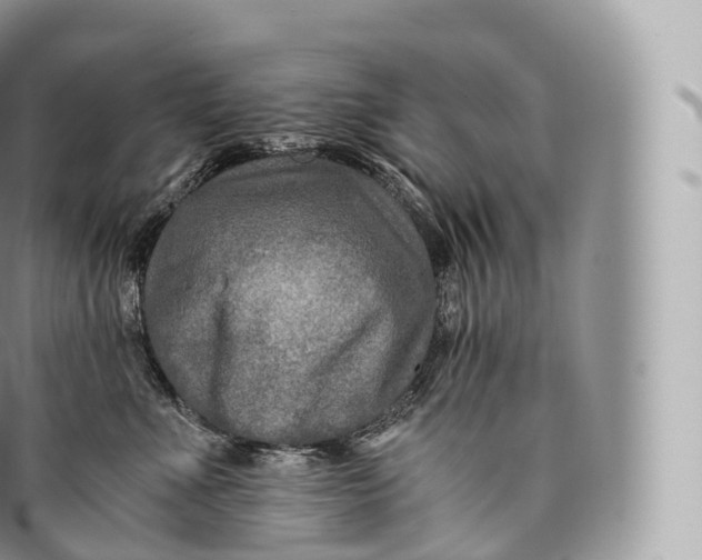 X0000096480523200802141725