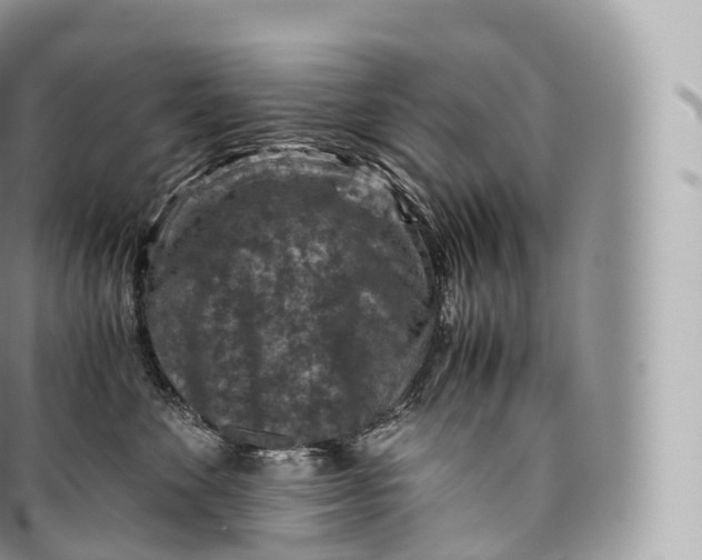 X0000096480524200802141725