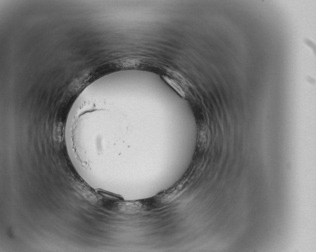 X0000096480525200802141725