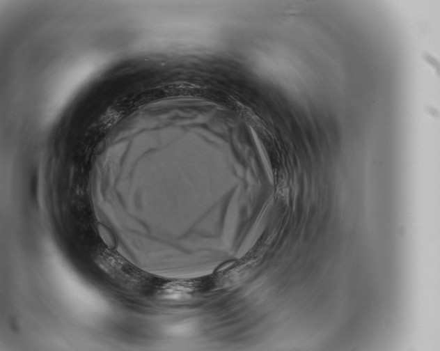 X0000096480526200802141725