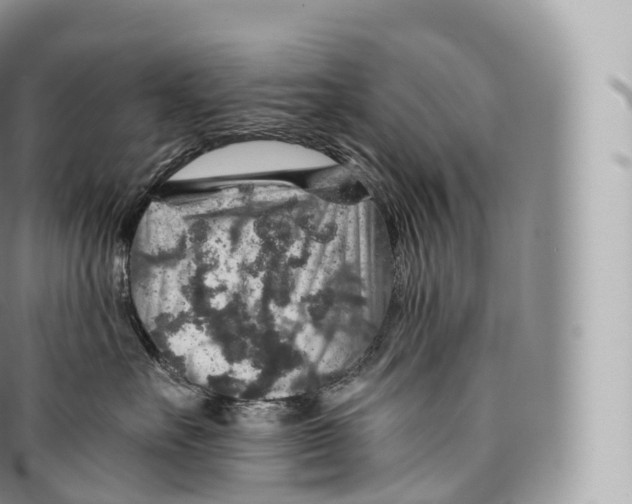 X0000096480527200802141725