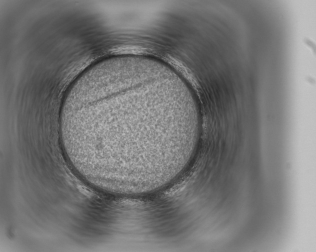 X0000096480529200802141724