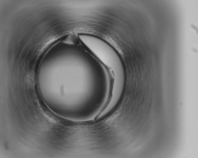 X0000096480530200802141724