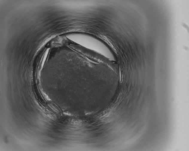 X0000096480531200802141724