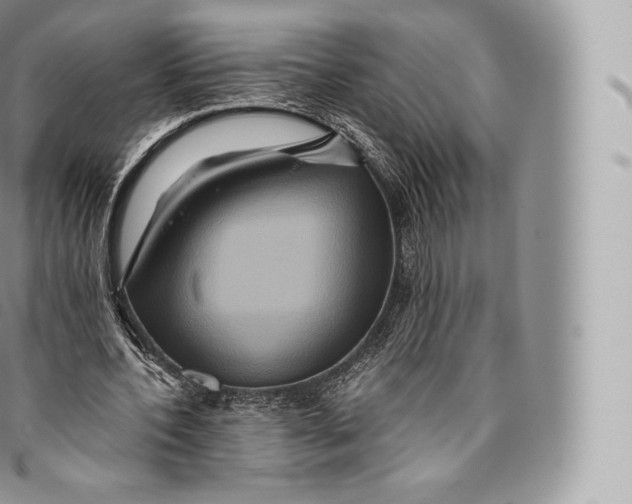 X0000096480532200802141724