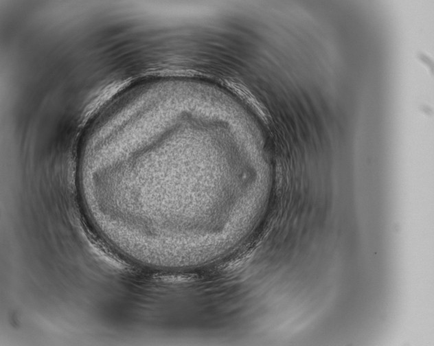 X0000096480533200802141724