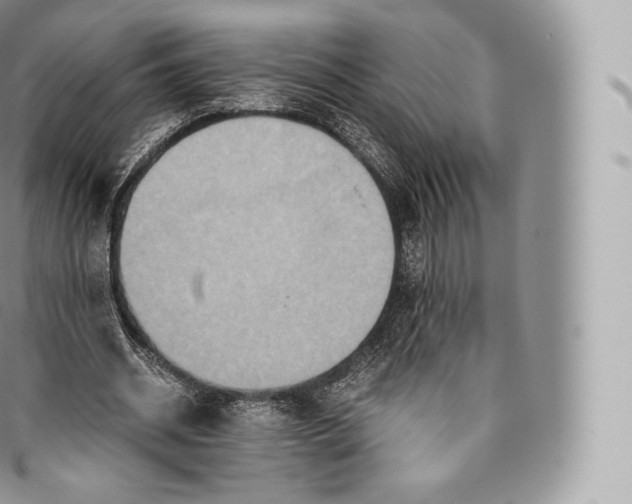 X0000096480534200802141724