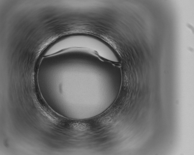 X0000096480535200802141724