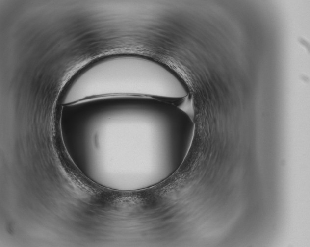 X0000096480536200802141724