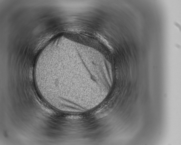 X0000096480537200802141724