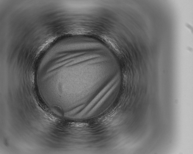 X0000096480539200802141724