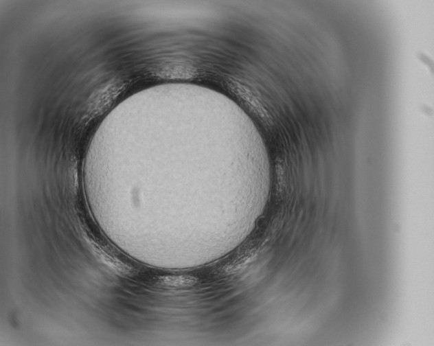 X0000096480541200802141724