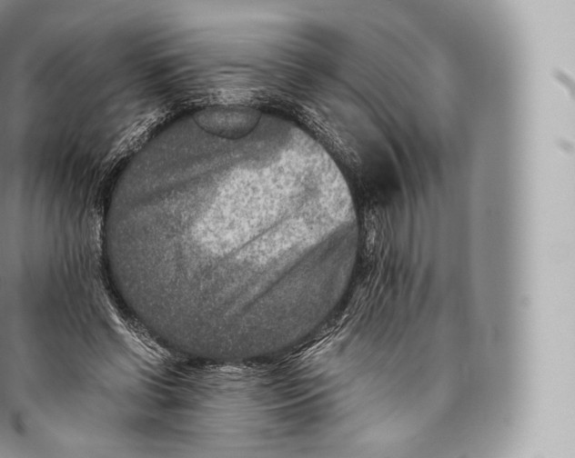 X0000096480542200802141724