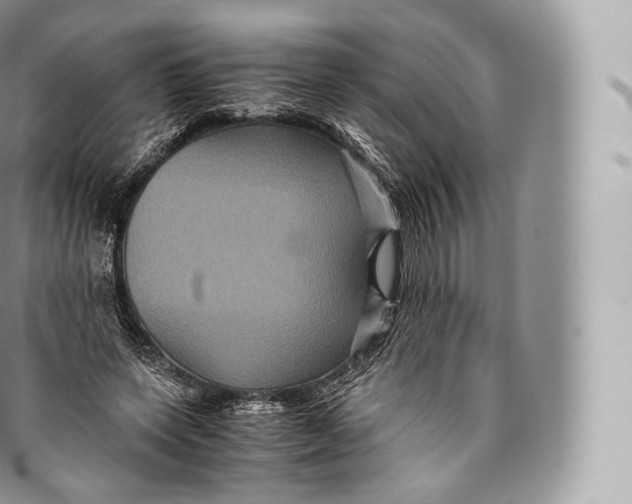 X0000096480543200802141724