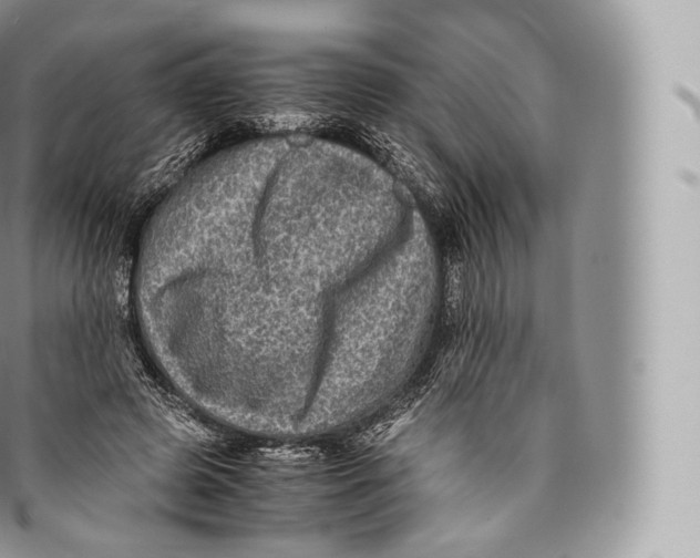 X0000096480545200802141724