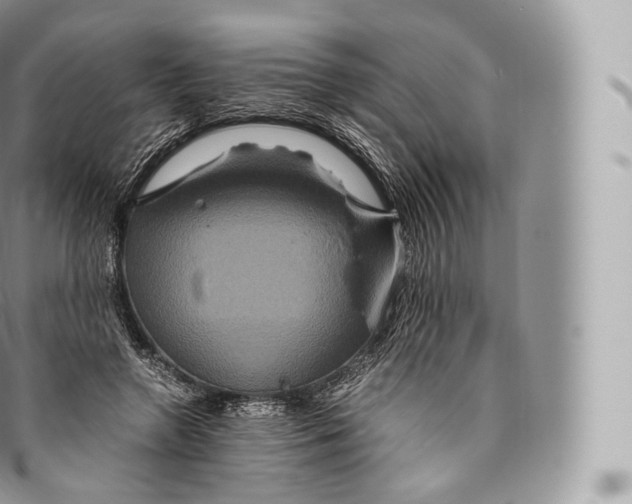 X0000096480546200802141724