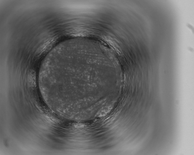 X0000096480547200802141724