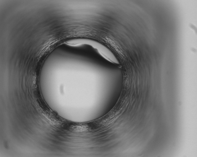 X0000096480548200802141724