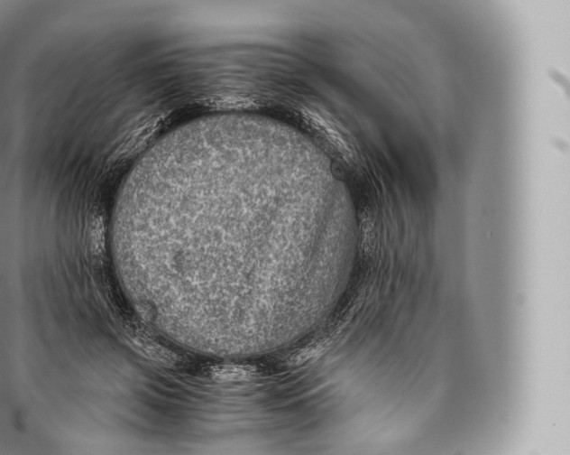 X0000096480549200802141724