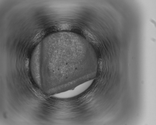 X0000096480550200802141724