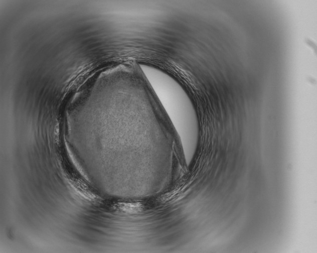 X0000096480552200802141724