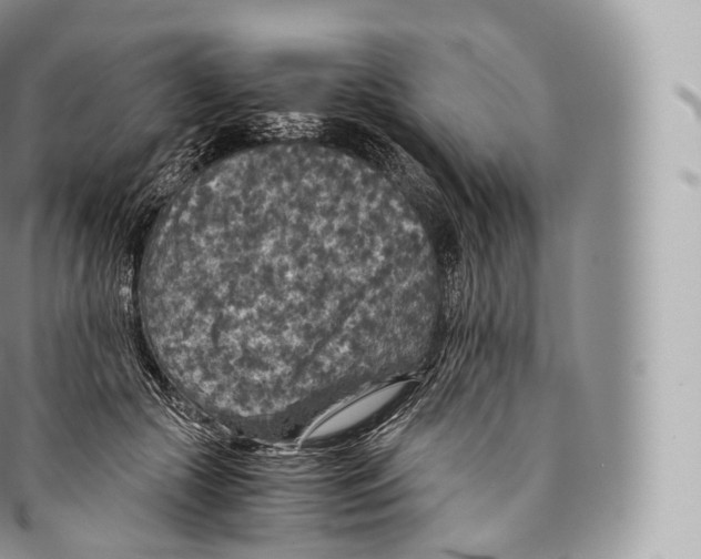 X0000096480553200802141724