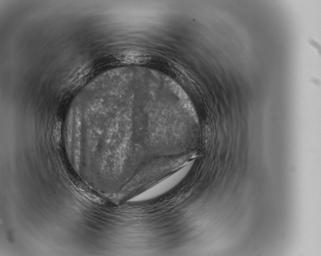 X0000096480554200802141724