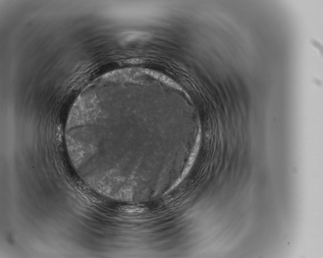 X0000096480555200802141724